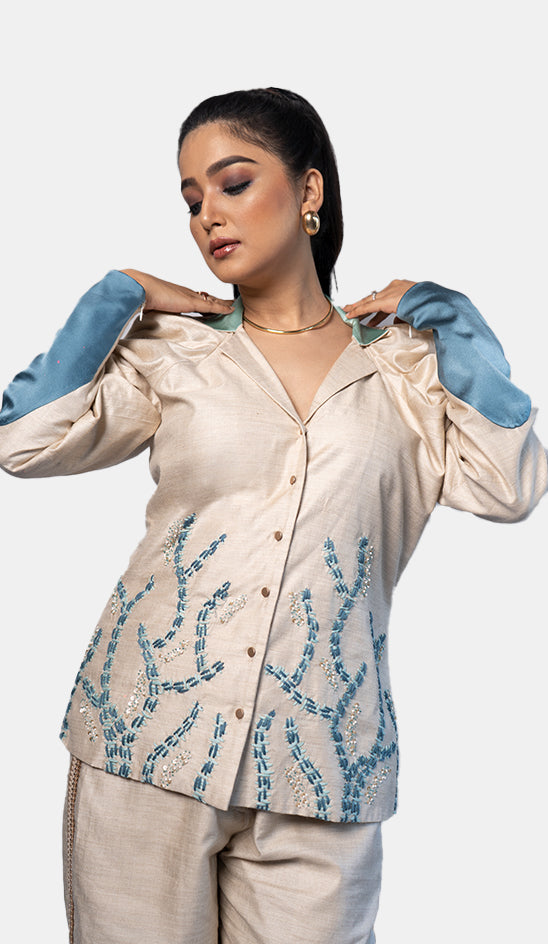 Voluminous Sleeve Shirt